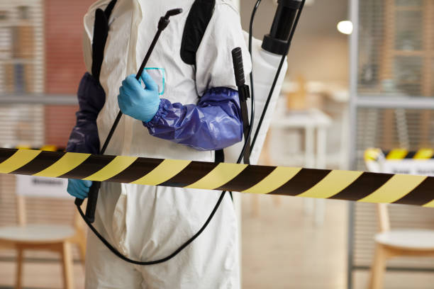 Professional Hoarding Cleanup technician working in Amityville, NY